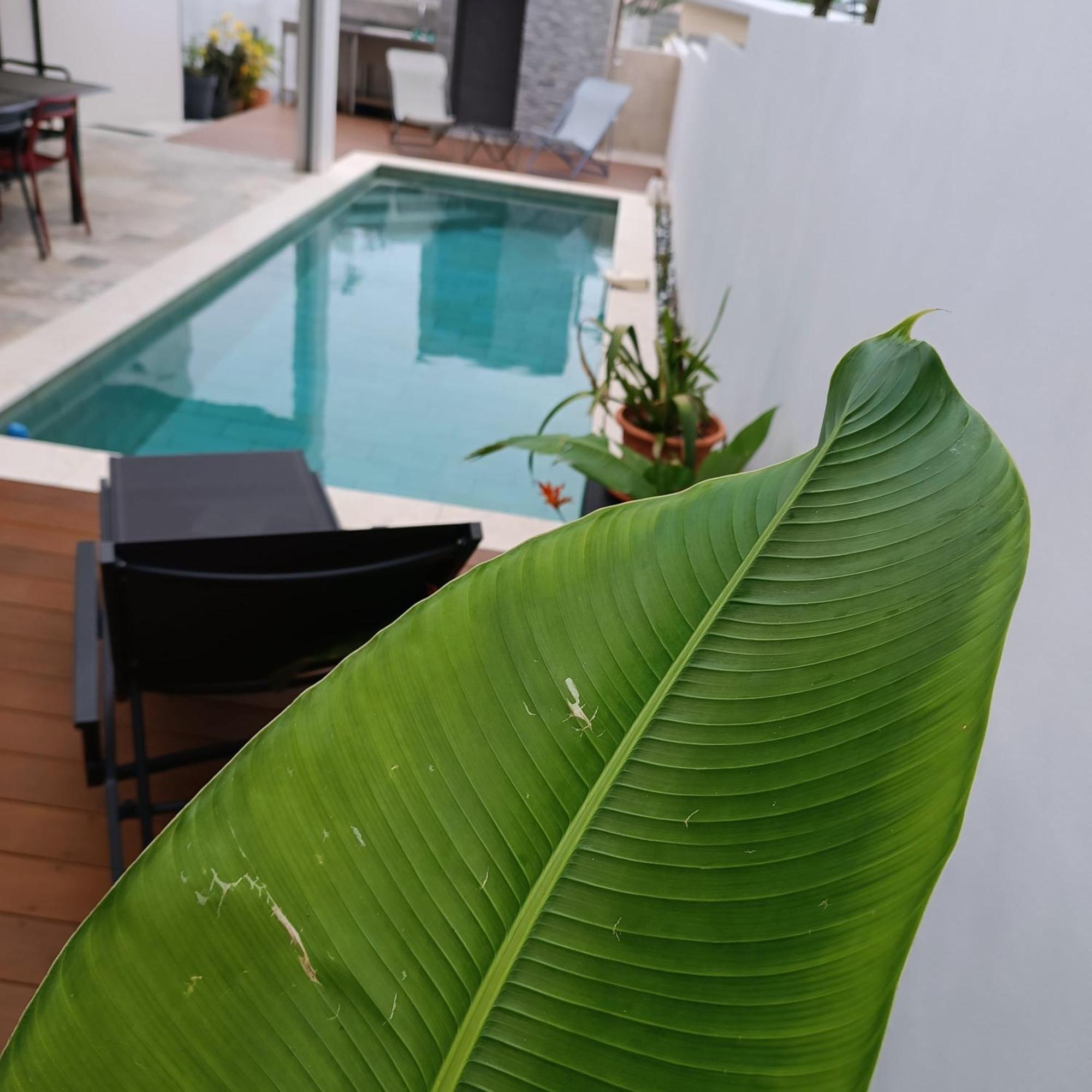Villa O'Lhaya Piscine Pivee Saint-Joseph Zewnętrze zdjęcie