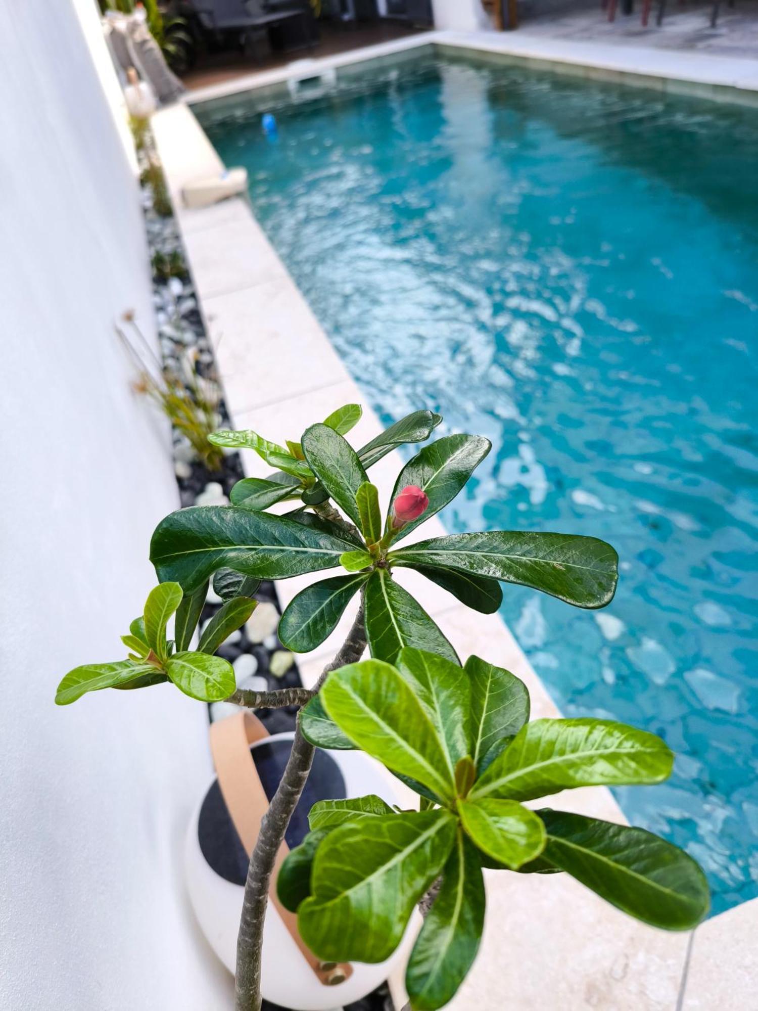 Villa O'Lhaya Piscine Pivee Saint-Joseph Zewnętrze zdjęcie